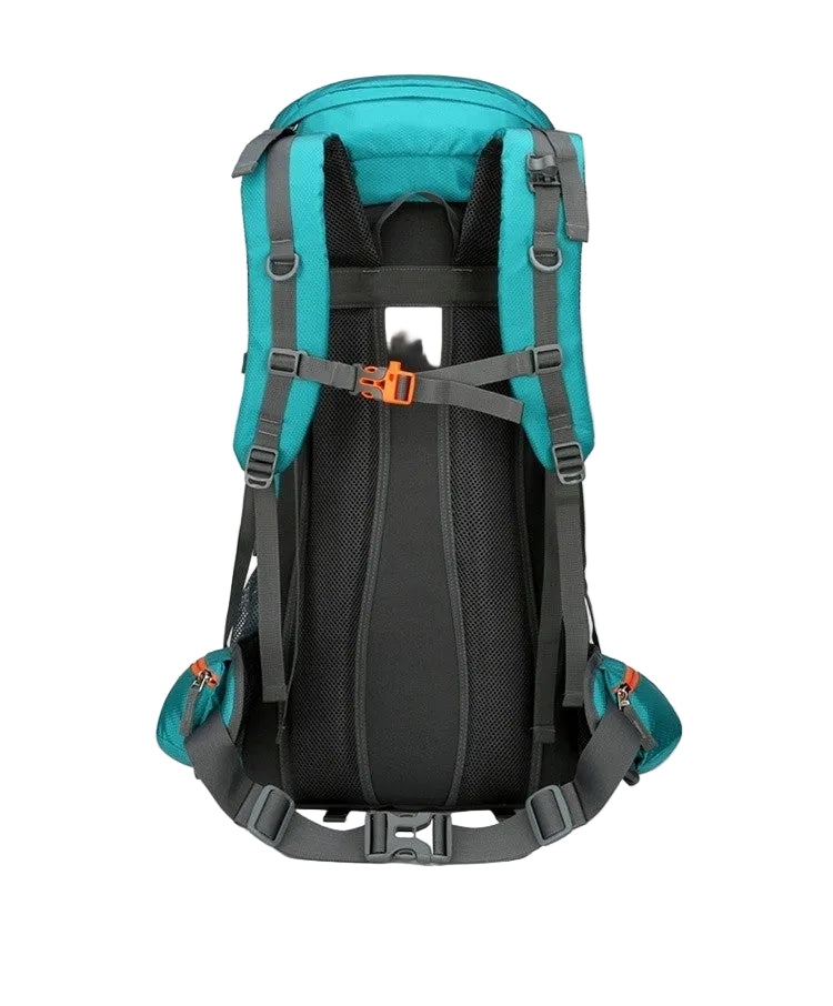 Feldacks large capacity outdoor backpack in teal showing padded back and adjustable straps